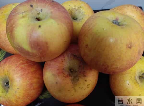 健康：重于日常生活中所有的一切