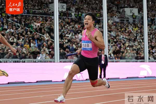 2021年3月计算机成绩查询时间