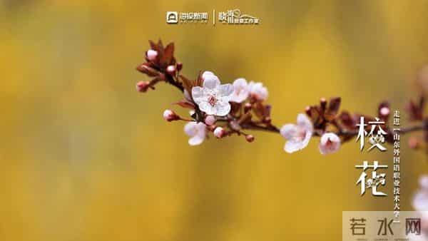 校园春色 班花校花来了 -  ②沉醉于“山外”春色，忘我于芬芳之间
