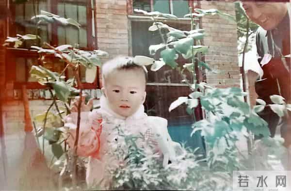 大学生活导论我的大学生活——三十年之后的一次深情回眸