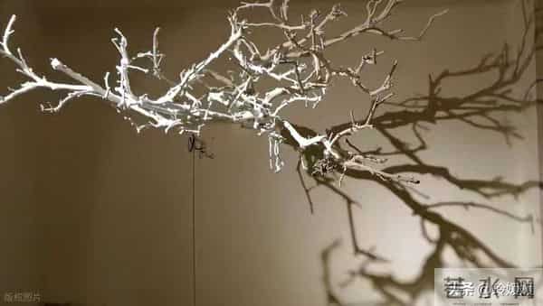 德育案例分析四位一体打破德育困局:3个真实案例见证教育蜕变