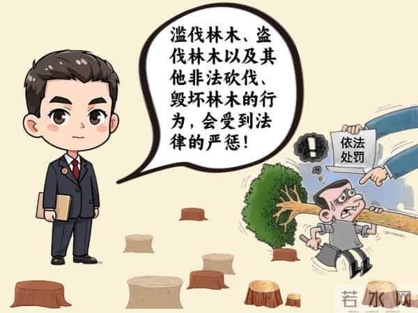 植树节是通过什么形式确定的