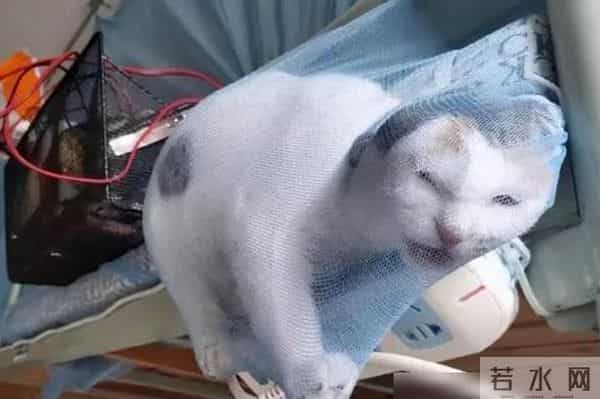 在学校怎样自wei不会被发现