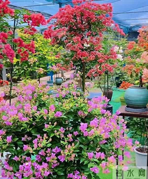 大学时期要做的50件事