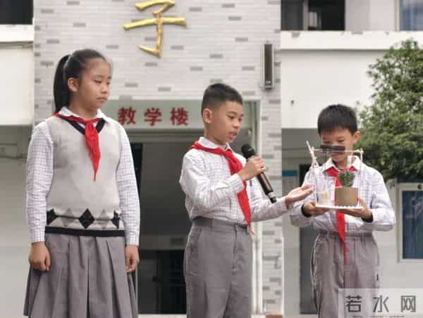 表现校园生活的作品