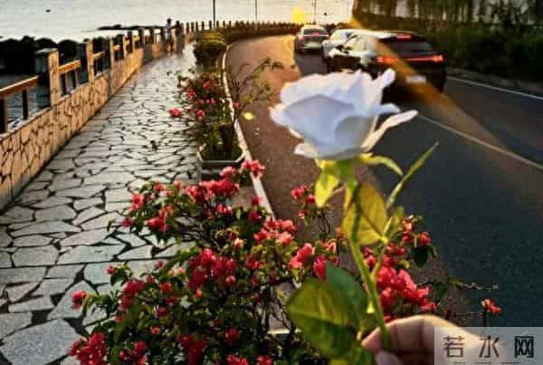 孩子在大学过得好不好,父母不用使劲问,留意这三个信号就知道!