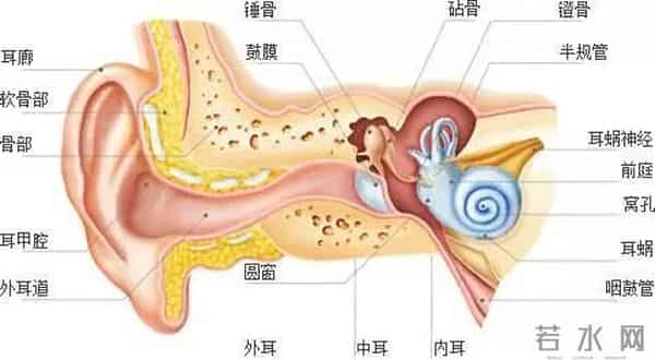 英语四级听力mp3下载