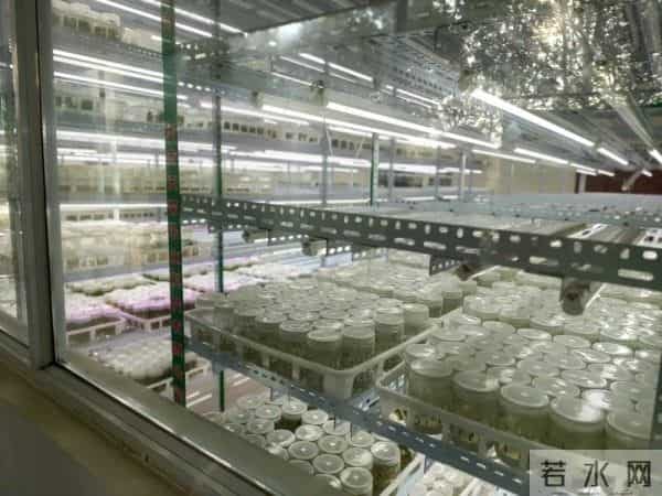 大一学习计划头雁探农技，智领启新程——中国农业大学 “头雁计划” 信阳市专题培训班学员开展农技与创新管理交流活动