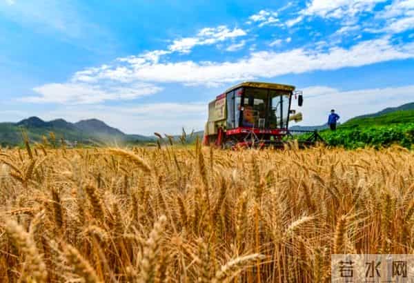 小满不满第二个满是什么意思