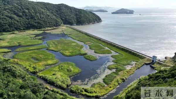 碧海潮声大学生网免费旅游！舟山这里发出邀请→