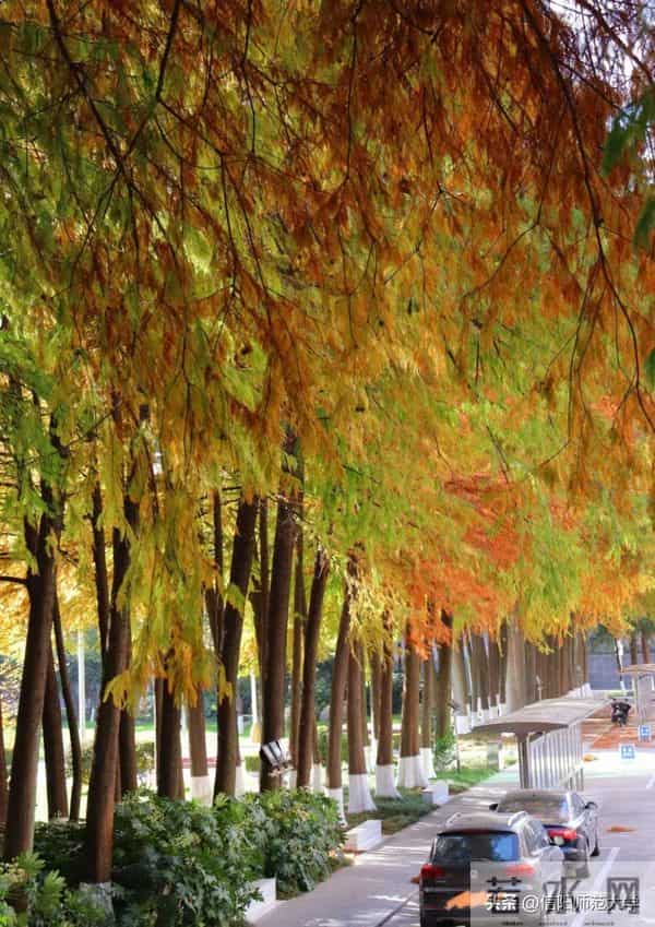 专八考试时间2024年上半年