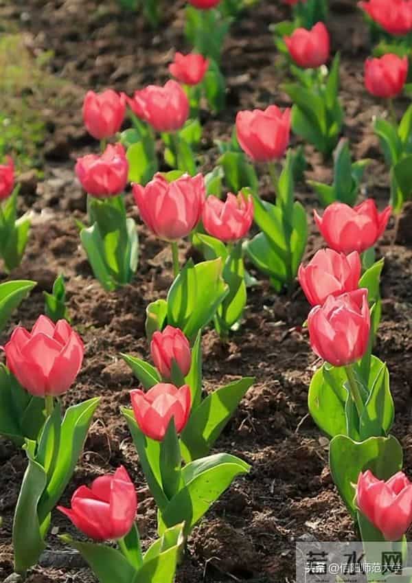 专八考试时间2024年上半年