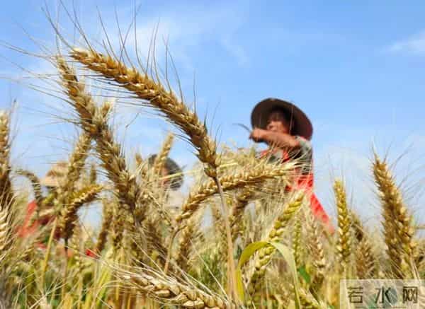 小满不满第二个满是什么意思