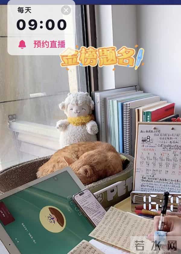 大学生自习室考公、考研、刷题、看书……大学生流行去“线上自习室”找“学习搭子”