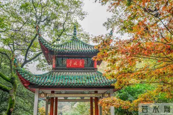 国庆安全教育事关国庆出行！这份最全安全提示请收下→