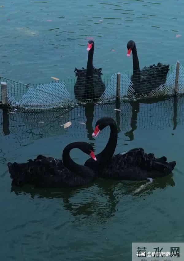 专八考试时间2024年上半年