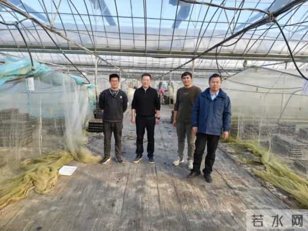 大一学习计划头雁探农技，智领启新程——中国农业大学 “头雁计划” 信阳市专题培训班学员开展农技与创新管理交流活动