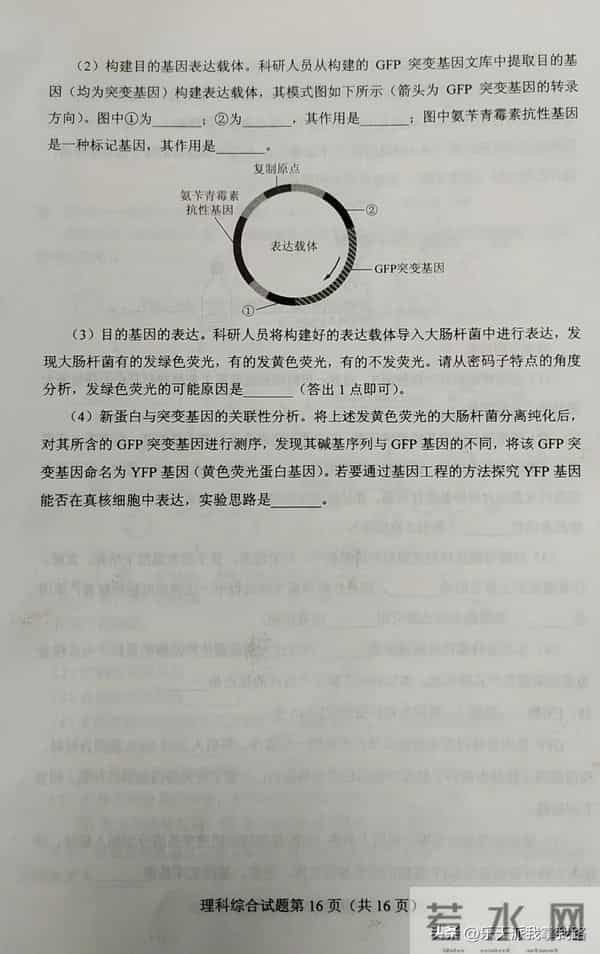 2023全国乙卷对分啦：又新又全的2023年全国高考各科真题及答案（全国乙卷）