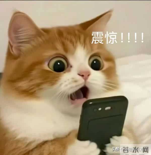 重磅官宣!雅思考试费用全面降价!