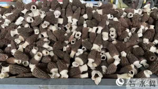 当代大学生就业现状:有困难,但很多人闯出新路子……