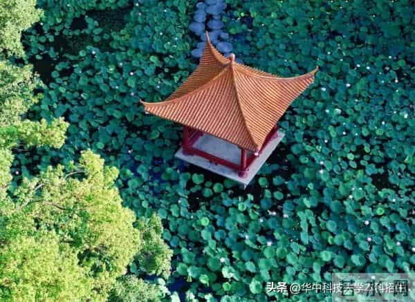 树人大学图书馆@准大一新生:拆开华科大“盲盒”,解锁无限惊喜!