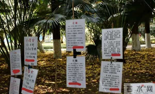 读大学读什么读大学最大的福利是找对象，错过了，以后就很难有这样的机会了