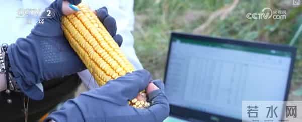 产学研融合高校科研“接地气” 打破学科壁垒为毕业生开拓全新职业蓝海