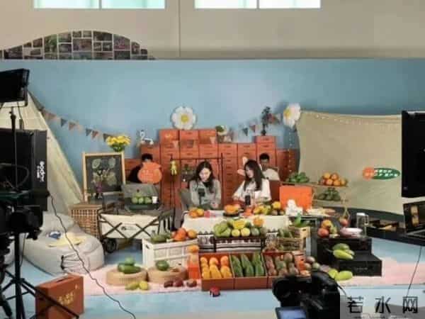 当代大学生就业现状:有困难,但很多人闯出新路子……