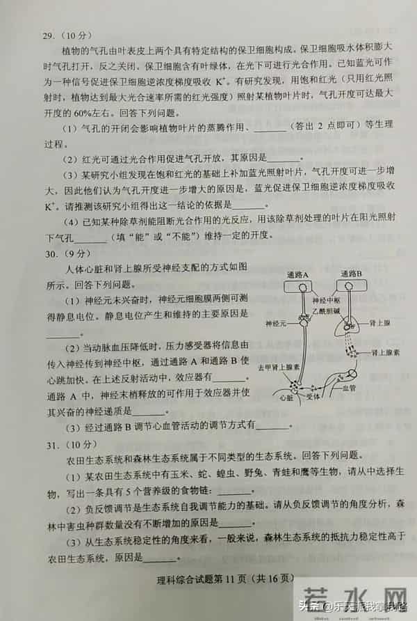2023全国乙卷对分啦：又新又全的2023年全国高考各科真题及答案（全国乙卷）