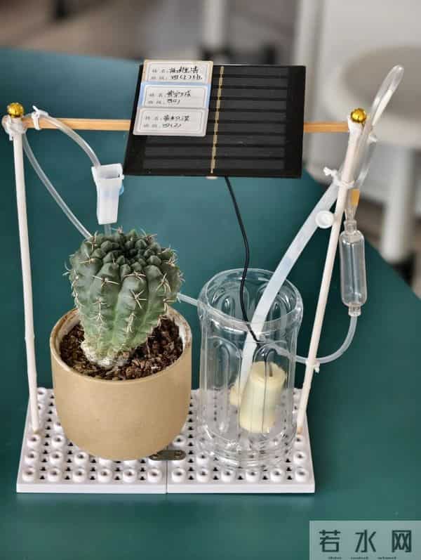 表现校园生活的作品