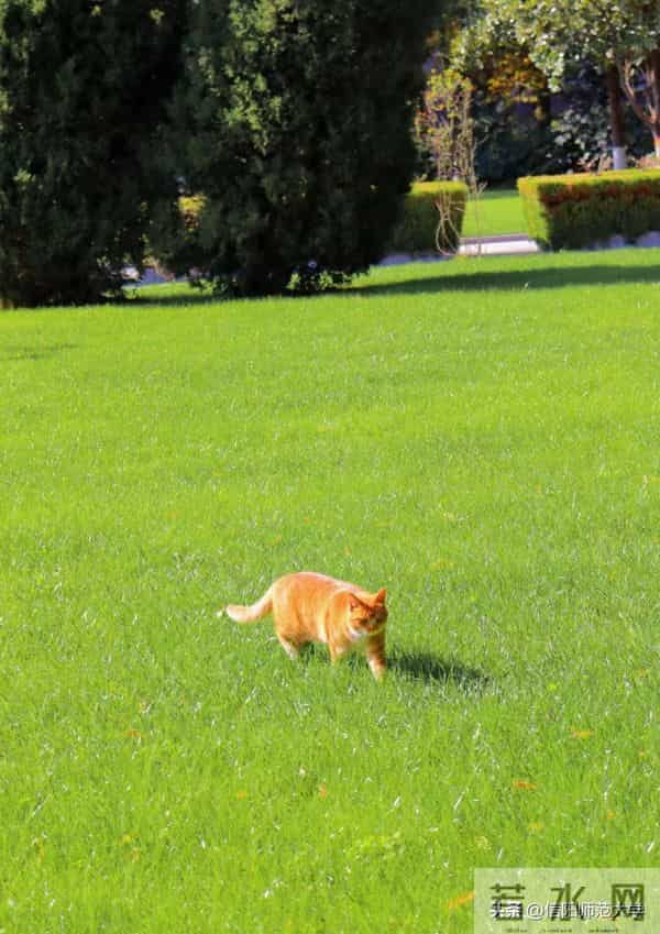 专八考试时间2024年上半年