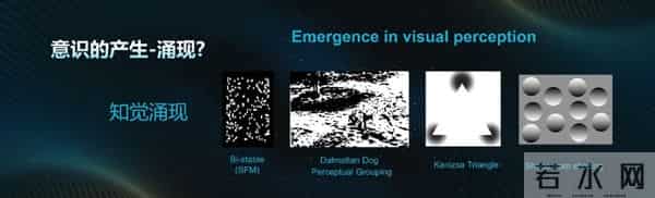 大学生活启示录探秘人类 “最强大脑”!意识的起源是初始剧情,心智探秘才是终极副本?