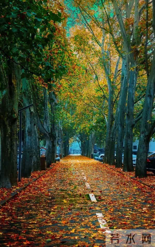 高考大省:拟新增3所本科大学!2026届高考生要关注!