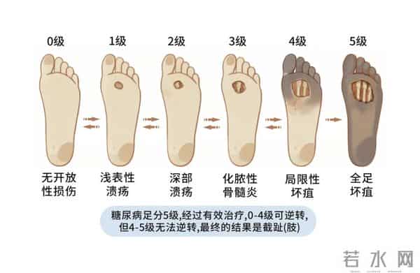 考研成绩查询时间2022