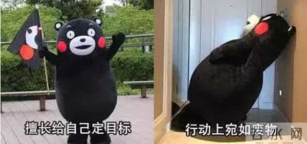 一个新的网络流行词“积极废人”,是你无疑了