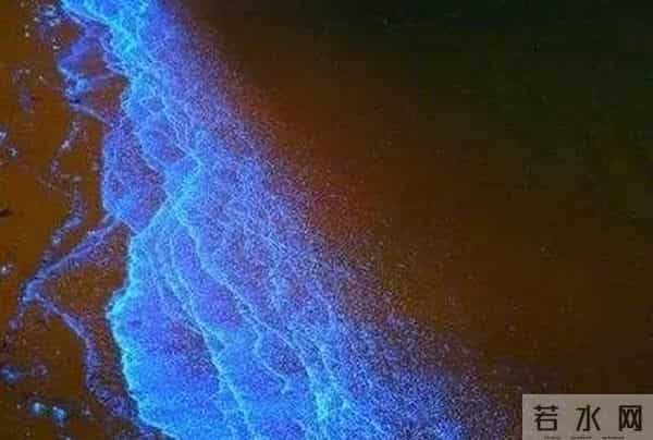 碧海潮声大学生网免费旅游！舟山这里发出邀请→