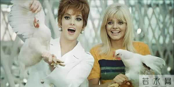 5部意大利悬疑惊悚片:当尺度遇上深度,才是真悬疑封神