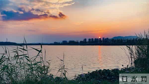 清代诗人的一首小诗,意境令人沉醉,后两句太生动