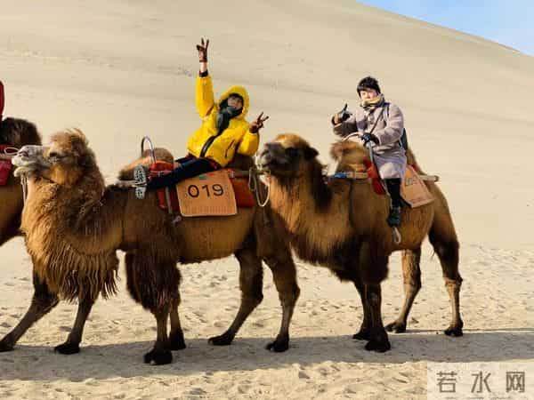 师生15年后再成师徒