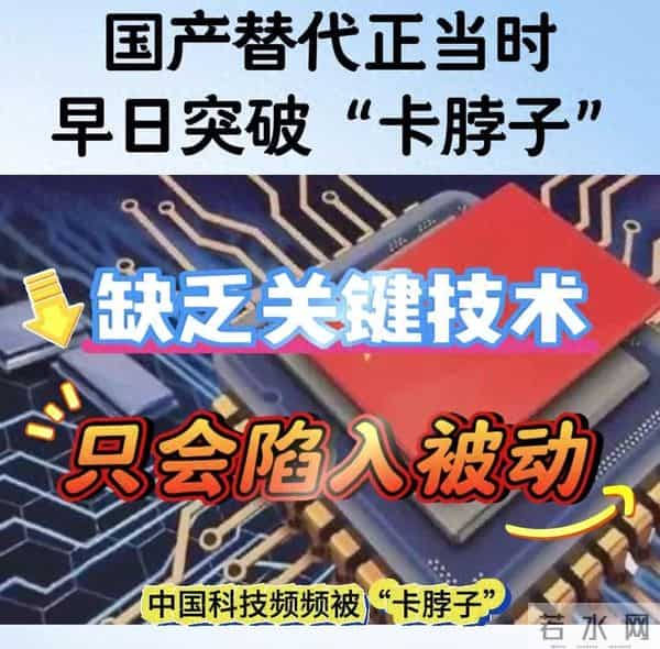 国家自然科学基金2021公示