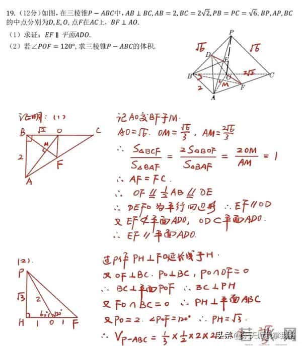 2023全国乙卷对分啦：又新又全的2023年全国高考各科真题及答案（全国乙卷）