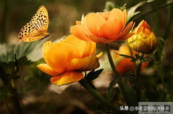 15条养生心诀：内外兼修护元气，日日安康越活越年轻