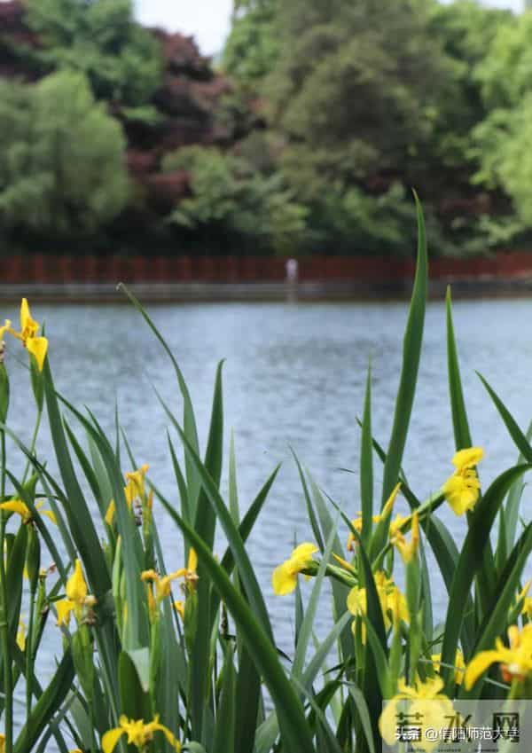 专八考试时间2024年上半年