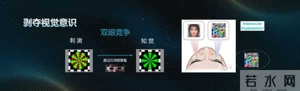 大学生活启示录探秘人类 “最强大脑”!意识的起源是初始剧情,心智探秘才是终极副本?