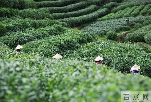 碧海潮声大学生网免费旅游！舟山这里发出邀请→