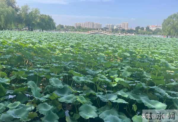 人的情绪来自人所遭遇的事情本身