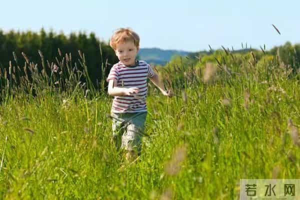 7部动画短片，养出内心富足的教育