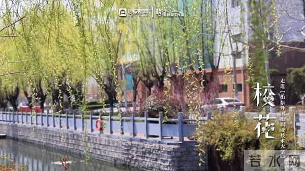 校园春色 班花校花来了 -  ②沉醉于“山外”春色，忘我于芬芳之间