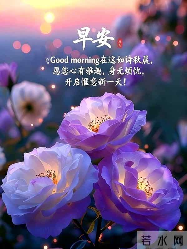 19句暖心早安祝福，愿晨光暖身，情谊暖心，日子清欢，万事顺意