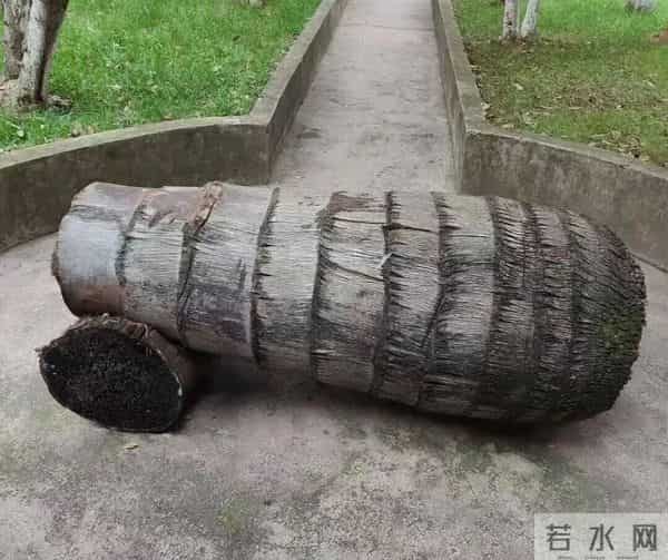 一个现代人的隐士修炼指南